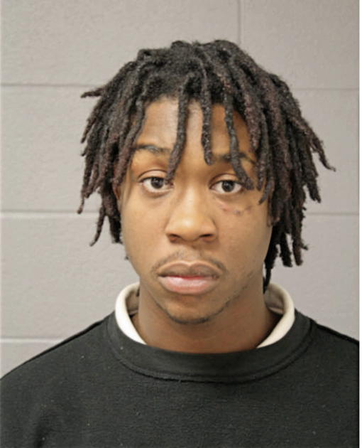 COREY E HOUSTON, Cook County, Illinois