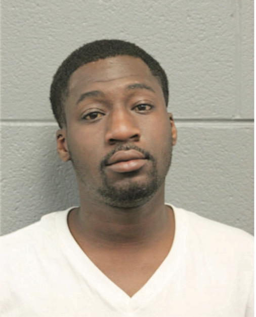 DAVID M JOHNSON, Cook County, Illinois