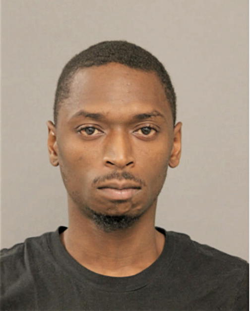 LARRY I JOHNSON, Cook County, Illinois