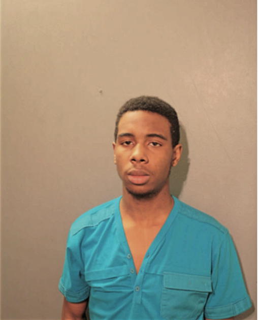 DARRYL S JONES, Cook County, Illinois