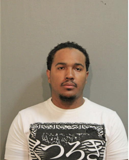 SEAN M LEVERSON, Cook County, Illinois