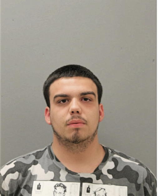 THOMAS J LEWANDOWSKI, Cook County, Illinois