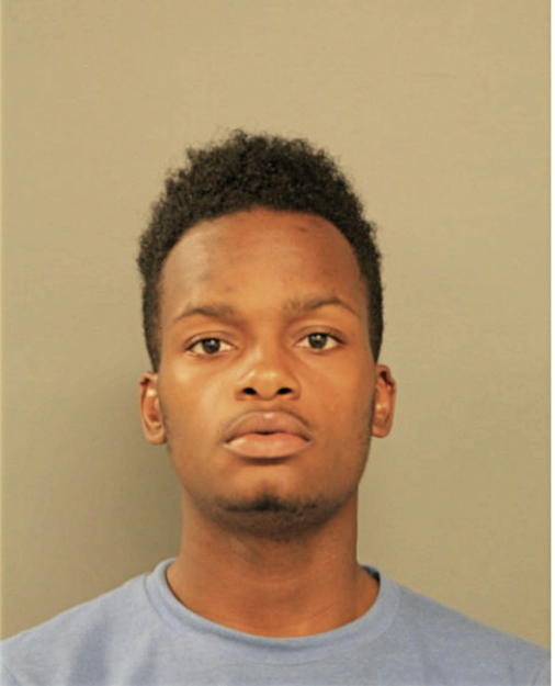 REGINALD R LITTLE, Cook County, Illinois