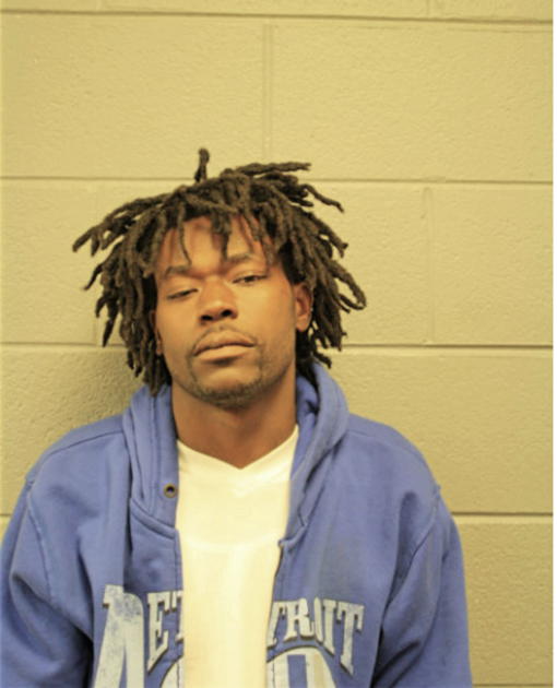 MICHAEL J MARTIN, Cook County, Illinois