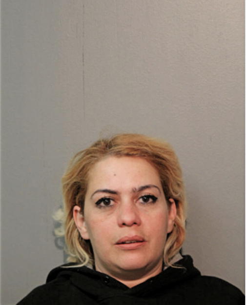 RAMONA E MENDEZ, Cook County, Illinois