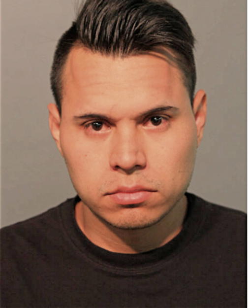 SALVADOR MONTOYA-LANDA, Cook County, Illinois