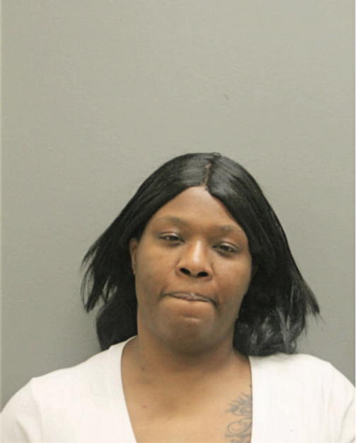 TAMMY M PALMER, Cook County, Illinois