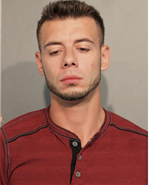 SENAN PARGANLIJA, Cook County, Illinois