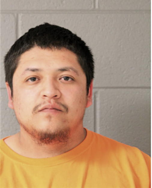 JOSE D PERDOMO, Cook County, Illinois