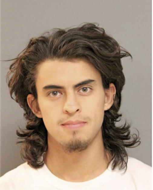 YOVANI P PEREZ, Cook County, Illinois