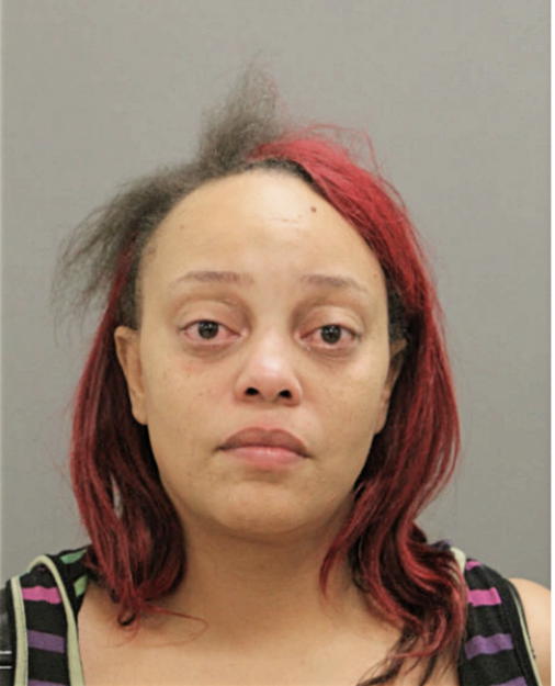 TAMICKA J SIMMONS, Cook County, Illinois