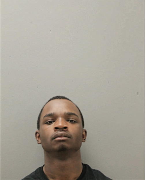 DARIUS C TORAN, Cook County, Illinois