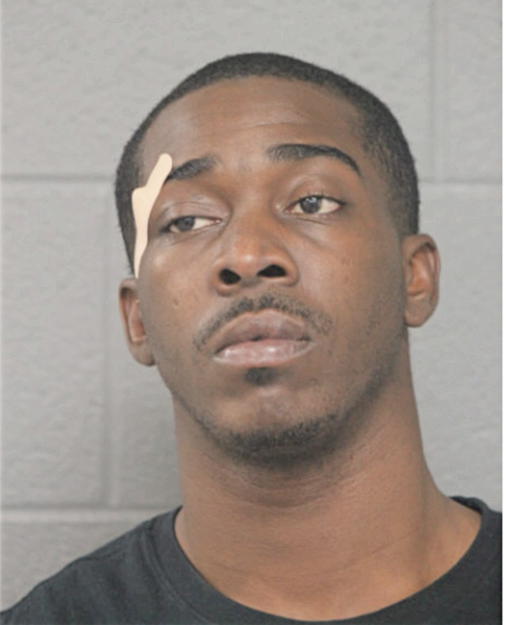 SEAN D A ANDREWS, Cook County, Illinois