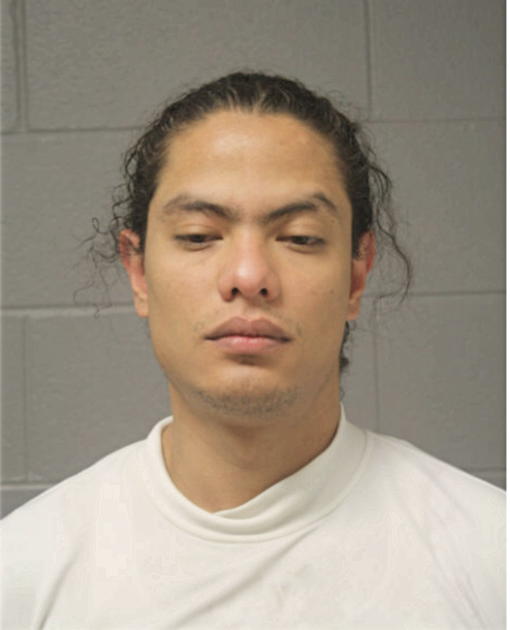 CARLOS J ALTAMIRANO, Cook County, Illinois
