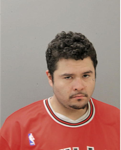 CESAR R ALVARADO, Cook County, Illinois