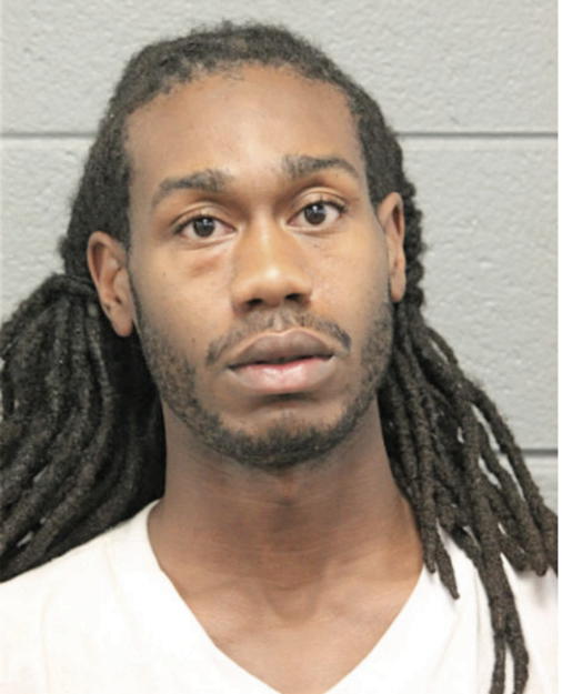 MICHAEL E ANDERSON, Cook County, Illinois