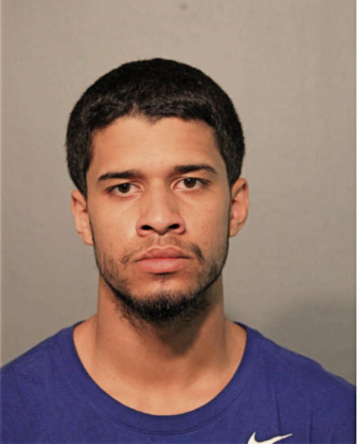 MICHAEL BORZEWSKI, Cook County, Illinois