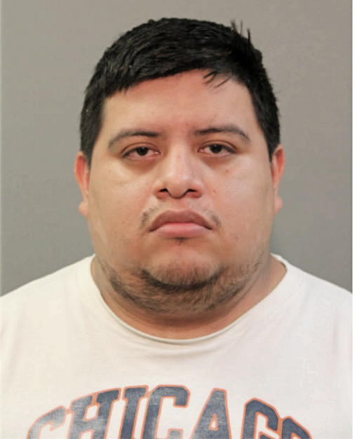LUIS A BUSTOS ROJAS, Cook County, Illinois