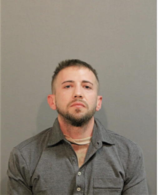 LOUIS R DEPOZO, Cook County, Illinois