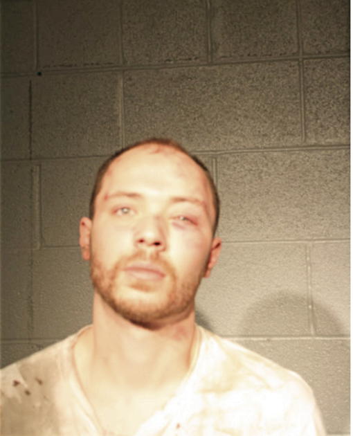 ANDREW L FARKAS, Cook County, Illinois