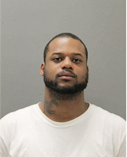 ARIC L FULTON, Cook County, Illinois