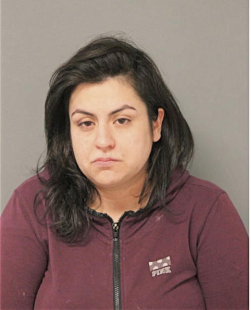 DIANE G GONZALEZ, Cook County, Illinois