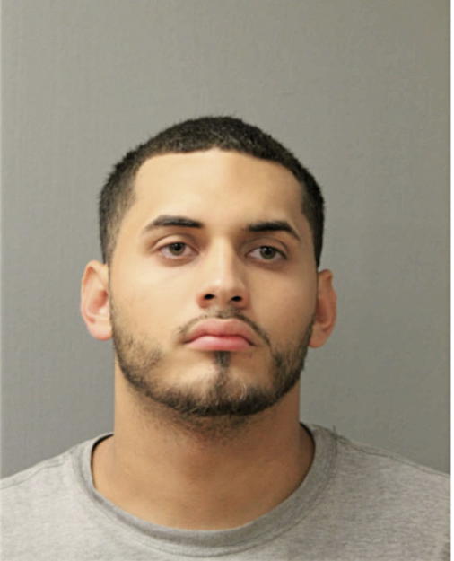 DOMINGO M GONZALEZ, Cook County, Illinois