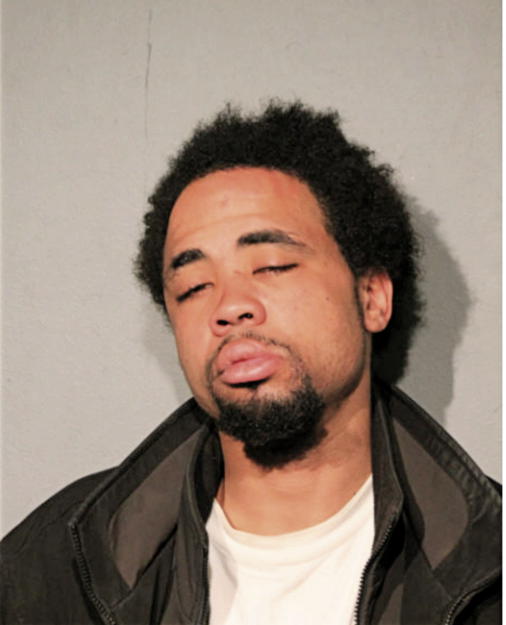 CHRISTOPHER F JOHNSON, Cook County, Illinois