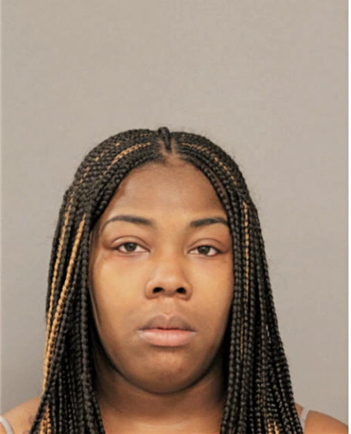 DIAMOND A JOHNSON, Cook County, Illinois