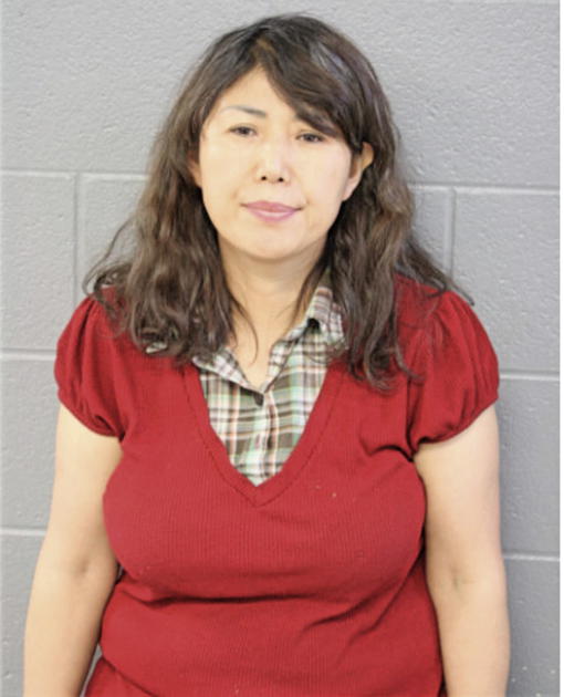 YOUNG S KANG, Cook County, Illinois