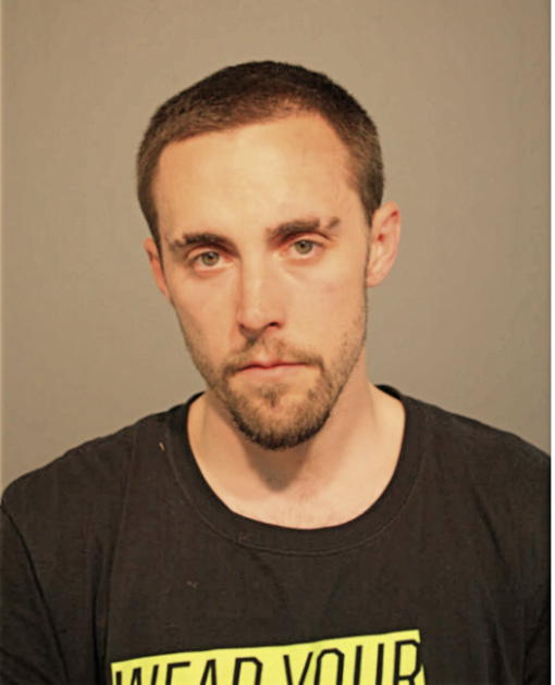 DAVID M LUBBEN, Cook County, Illinois