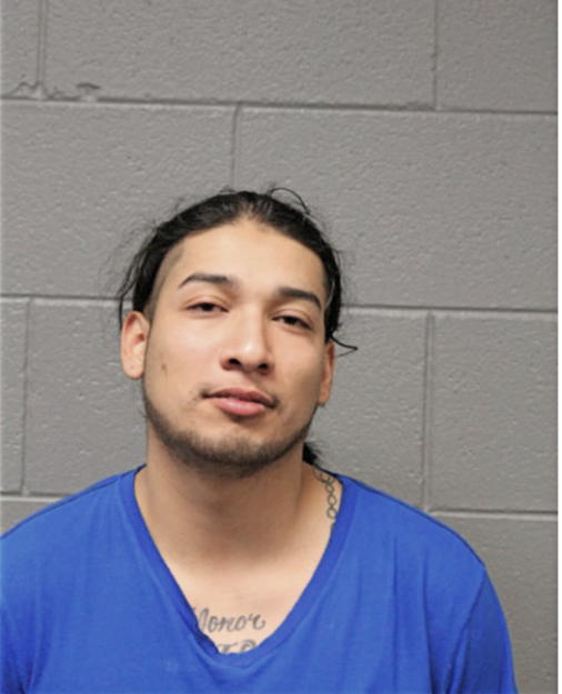 ALEJANDRO MARTINEZ, Cook County, Illinois