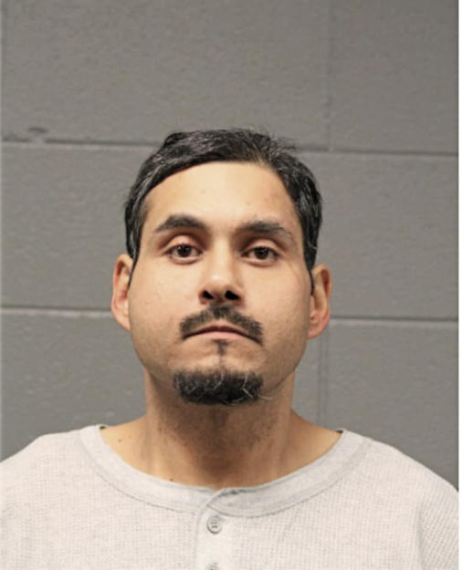 TONY MIRELES, Cook County, Illinois