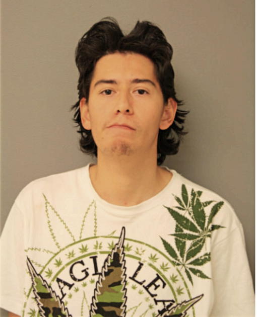 MICHAEL MUNOZ, Cook County, Illinois