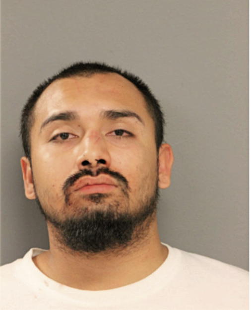 MICHAEL A PLATA, Cook County, Illinois