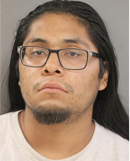 JULIO ROA, Cook County, Illinois