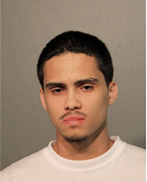 NICHOLAS A ROBERSON, Cook County, Illinois