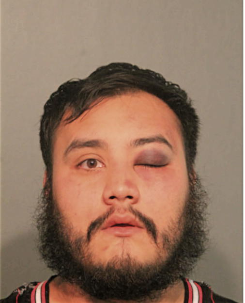 DANIEL J RODRIGUEZ, Cook County, Illinois