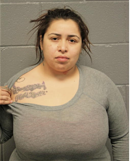 ERICA C SILVA, Cook County, Illinois