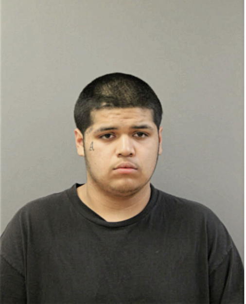 DIEGO VALLADARES, Cook County, Illinois