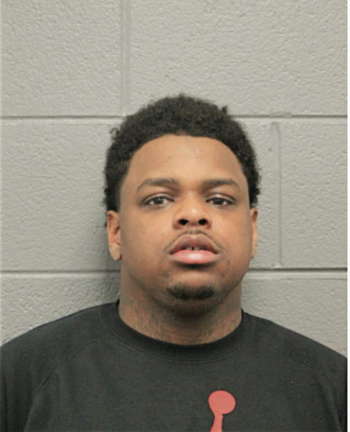 CAMERON D ANGELO YORK, Cook County, Illinois