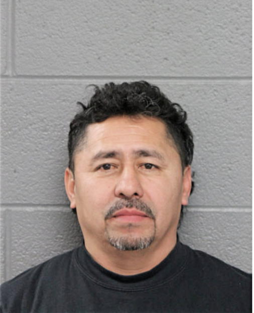 SANTOS AVELAR-PELAES, Cook County, Illinois