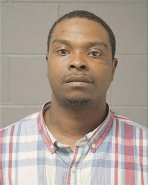ANTHONY N BROWN, Cook County, Illinois