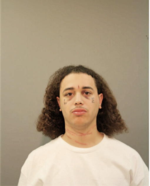 REYNALDO FLORES, Cook County, Illinois