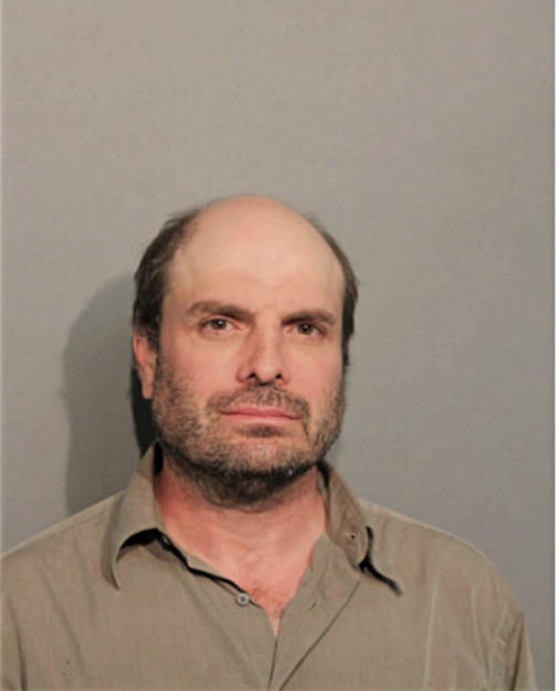 ALLAN L FRIEDMAN, Cook County, Illinois