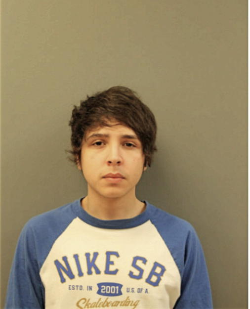 WILLIAM HERNANDEZ, Cook County, Illinois