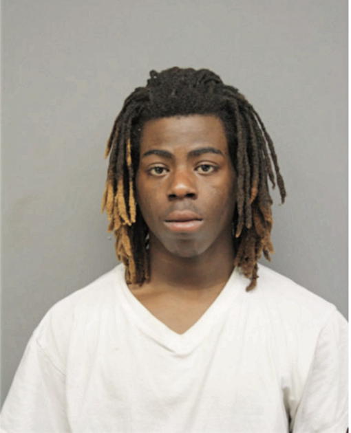 BRIAN KING, Cook County, Illinois