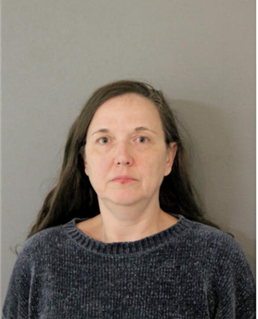 NATALIYA V LARIONOVA, Cook County, Illinois