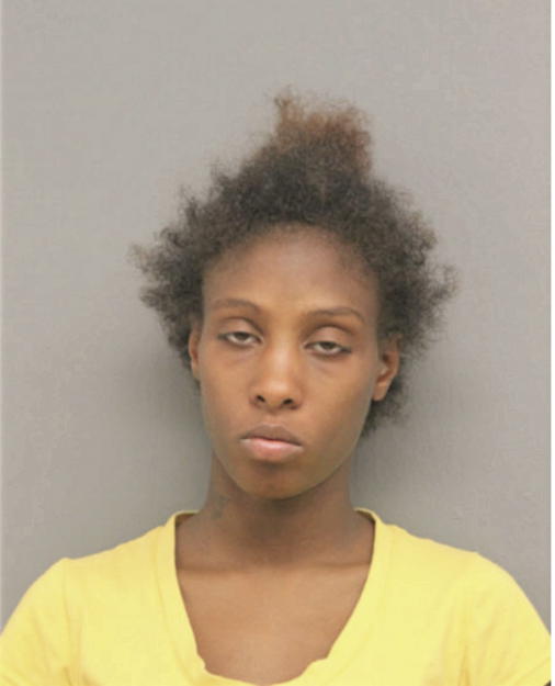 DANIELLE J LASHLEY, Cook County, Illinois