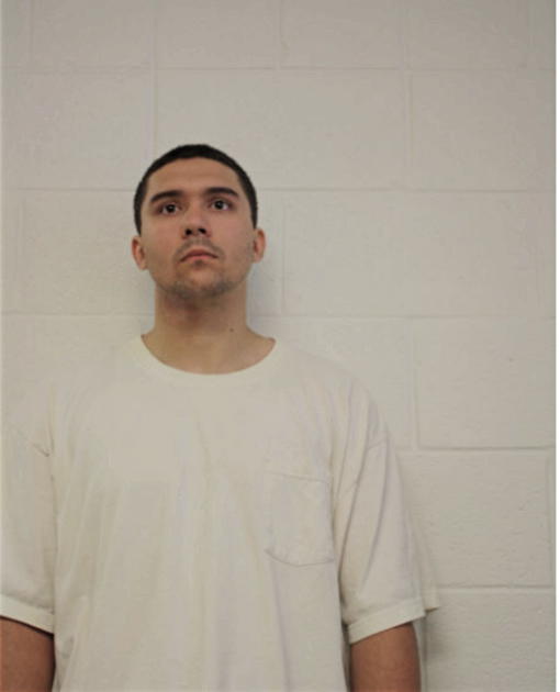 JAMES M LEE JAYNE, Cook County, Illinois